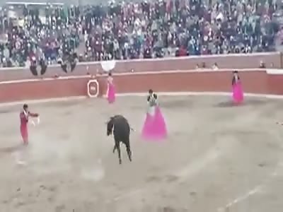 'EL FAGGOT' FEELS THE TASTE OF THE HORN