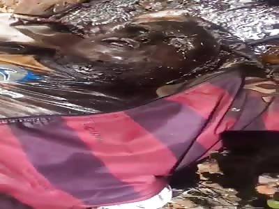 Brazil: rotting corpses.