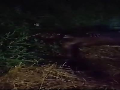 MOZAMBICAN MAN DYING