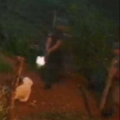 WITHOUT REACTION: MAN BEING EXECUTED BY POLICE