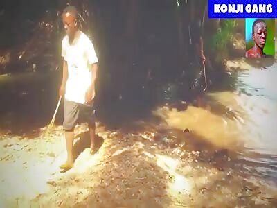 JUNGLE CREATURES HAVING FUN