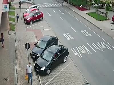 NEW FLOWER IN THE GARDEN