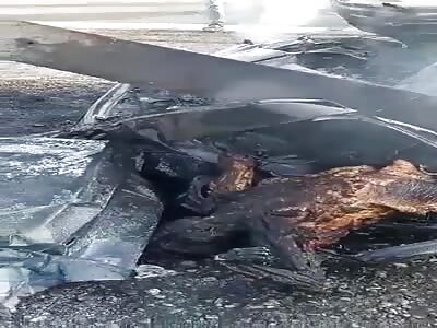 CRISPY BODY AFTER AN ACCIDENT 