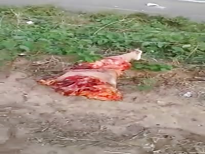 2 DEAD MOTORBIKE ACCIDENT.