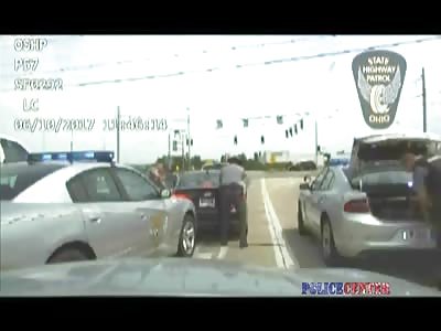 Lady Hits Two Officers while Attempting to Flee