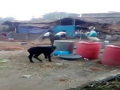 Crazy Figth In India