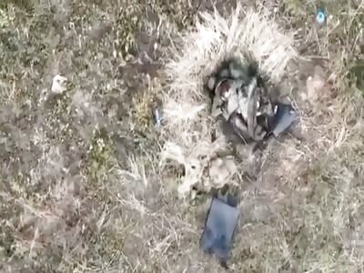 Honeymoon ruined for Russian couple