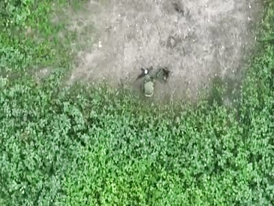 Russian Orc Was Disturbed While Taking A Break