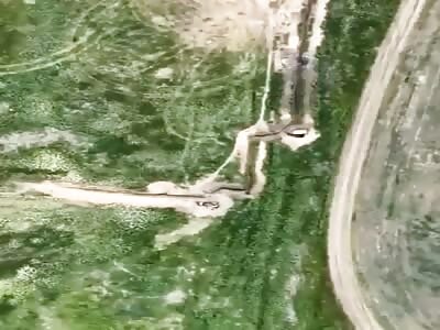 Direct Hit - Orc Neutralized