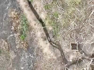 Orc Gets The Butt Plug And Secondary Detonation