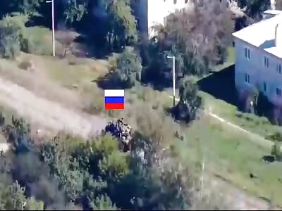 Run Little Rabbit Run!