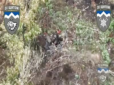 Russian Cockroach Takes Headshot