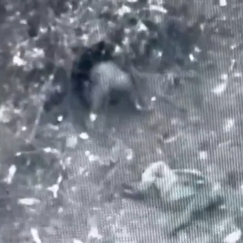 Russians Dig Graves, Take Direct Hits