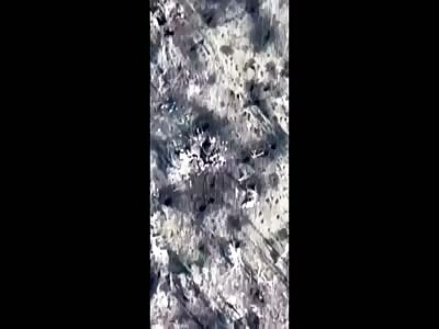 Russian Trench Fleas Have Their Garbage Pit Improved