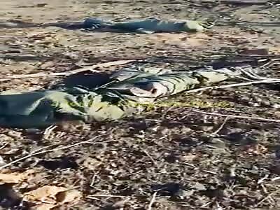 In Bakhmut The Bodies Are Piling Up