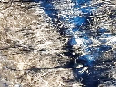 Take Two Grenades For Good Luck