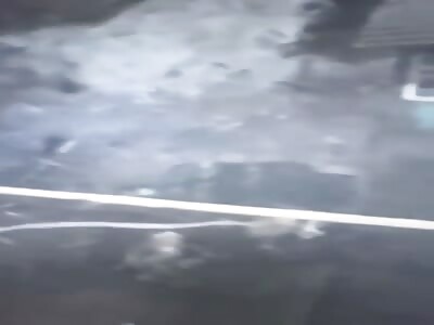 Ukrainians: Control Z