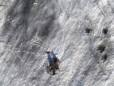 Russian Invaders Drawing Curious Figures In The Snow
