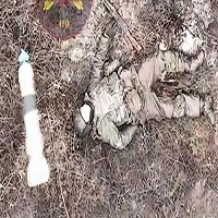 Polite Russians Die In The Cemetery