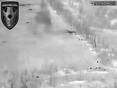 Sirko's Brawlers Create Field Of Russian Corpses