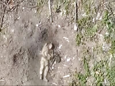 Hands Make Poor Armor