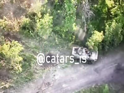 Orc Dumped, Karma Smiled Anyways