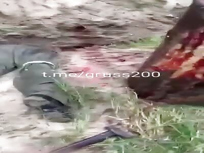 Another Hammered Wagner Nazi