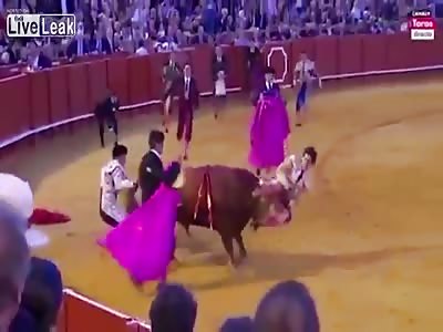 Revenge of the bulls