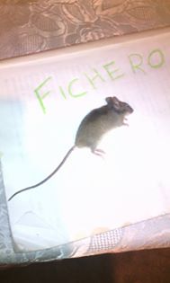 giving Chinese teacher education