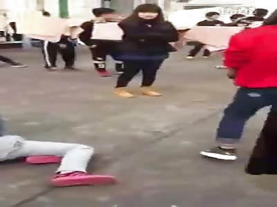 Chinese schools are the best