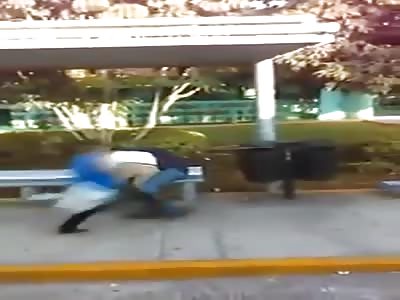 Driver and passenger fight