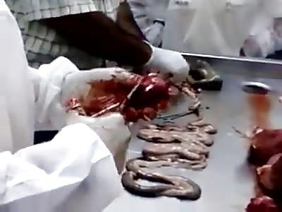 Studying medicine forence