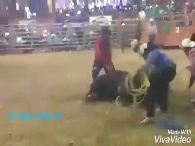 Cowboy dies crushed by bull