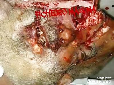 Compiled from dead and gutted