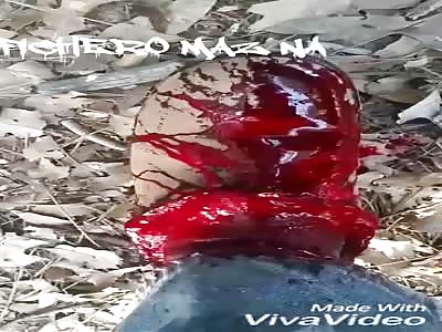 Looks like chocolate fountain