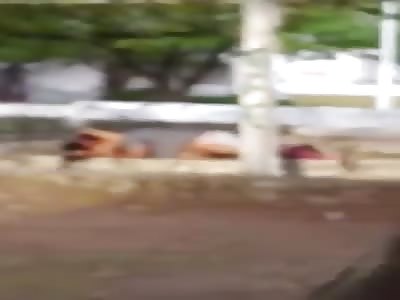 Sex in public part 2