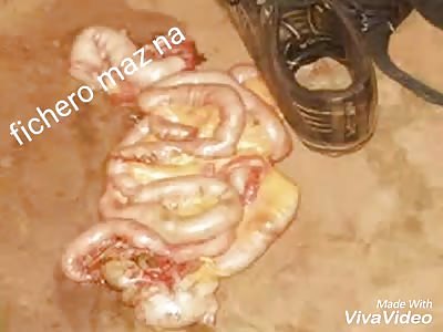 Man killed and eaten in satanic ritual