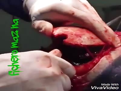 They want to see what they have in their heads