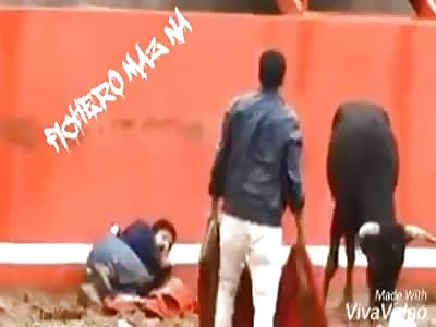 Man disfigured by bull