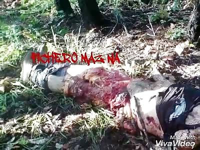 Shocking eaten by a bear