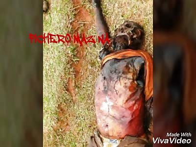 Carbonized upon being struck by lightning