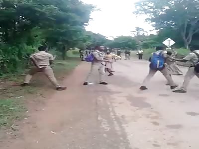 blacks fighting out of the zoo