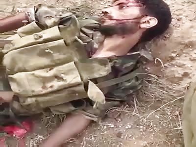 Full of bullet holes