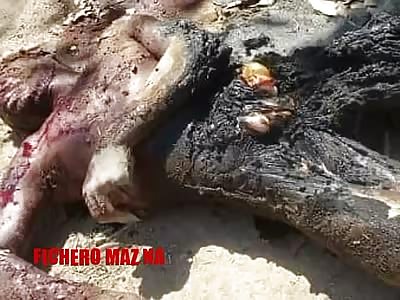 Man Hacked and Set on Fire..