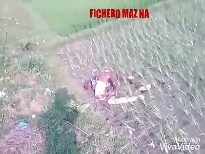 Man run over by train