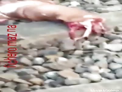 Man crushed by train