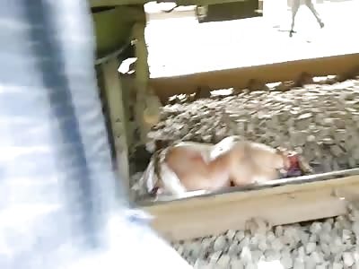 Man was beheaded by train