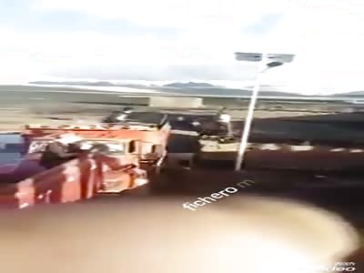 Bear escapes from his cage almost catches man