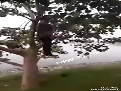 SUICIDIO BLUE WHALE: man hung as fruit