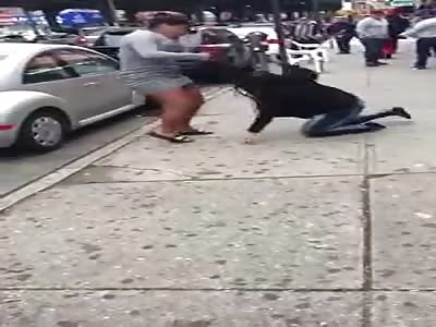 WOMEN FIGHT FOR THE LOVE OF BRAYAN